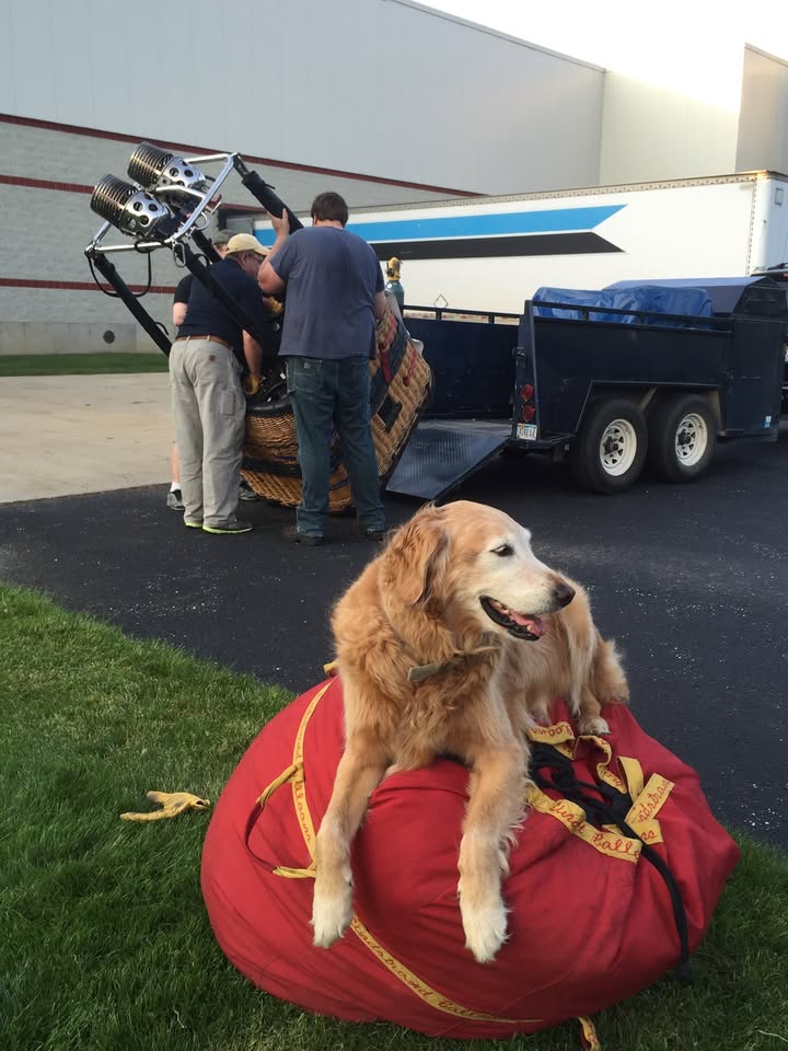 Battle Creek 2015 Mascot Sam and crew Flying with other balloons