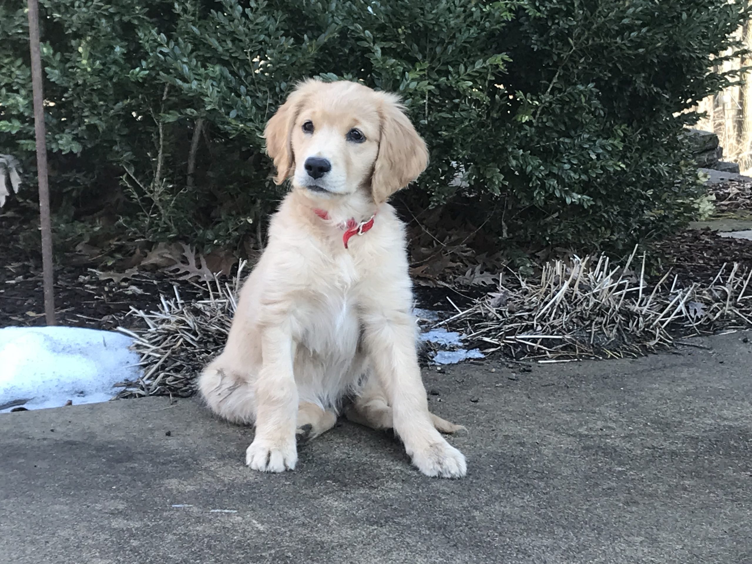 Maggie joins the crew for First Flight 2018