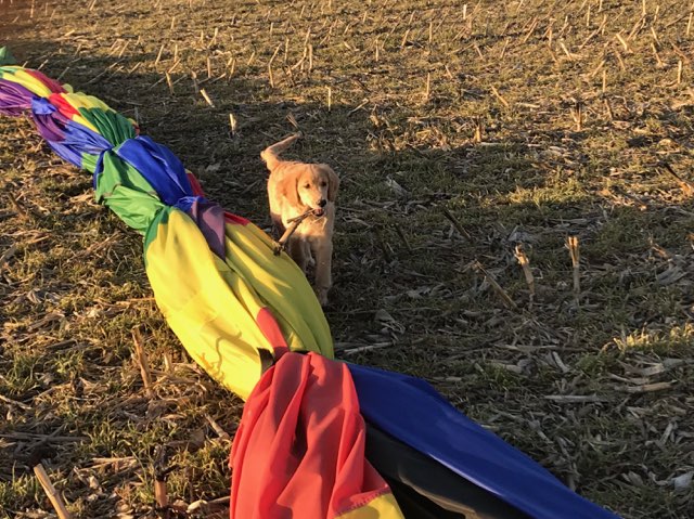 Crew and balloon after landing