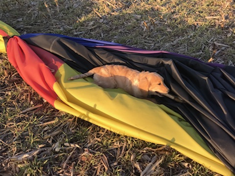 Crew member during the April 2018 balloon outing