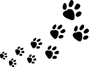 Dog paw print graphic referenced in the crew profile update