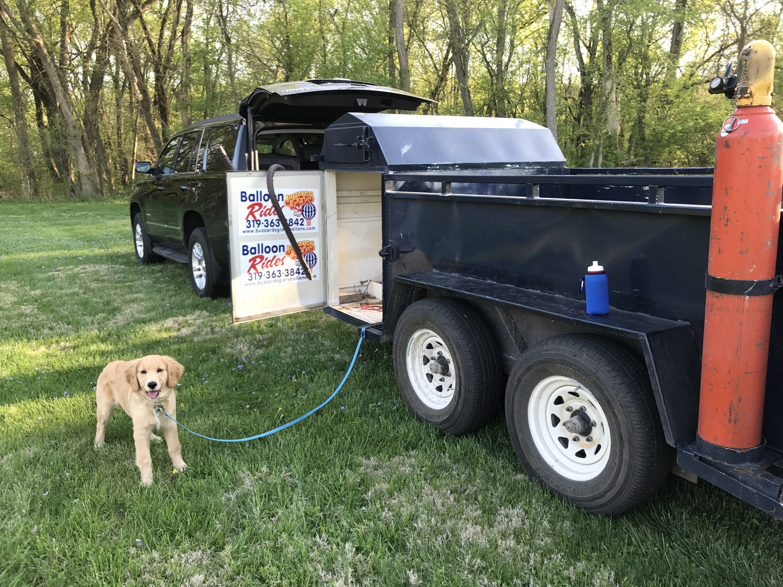 Miss Maggie standing guard before the balloon flight
