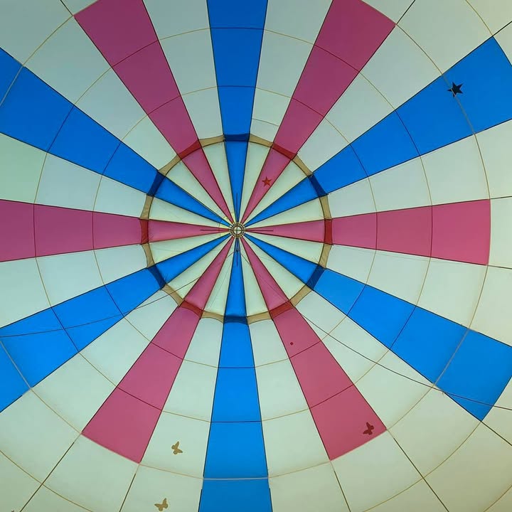 We flew yesterday.