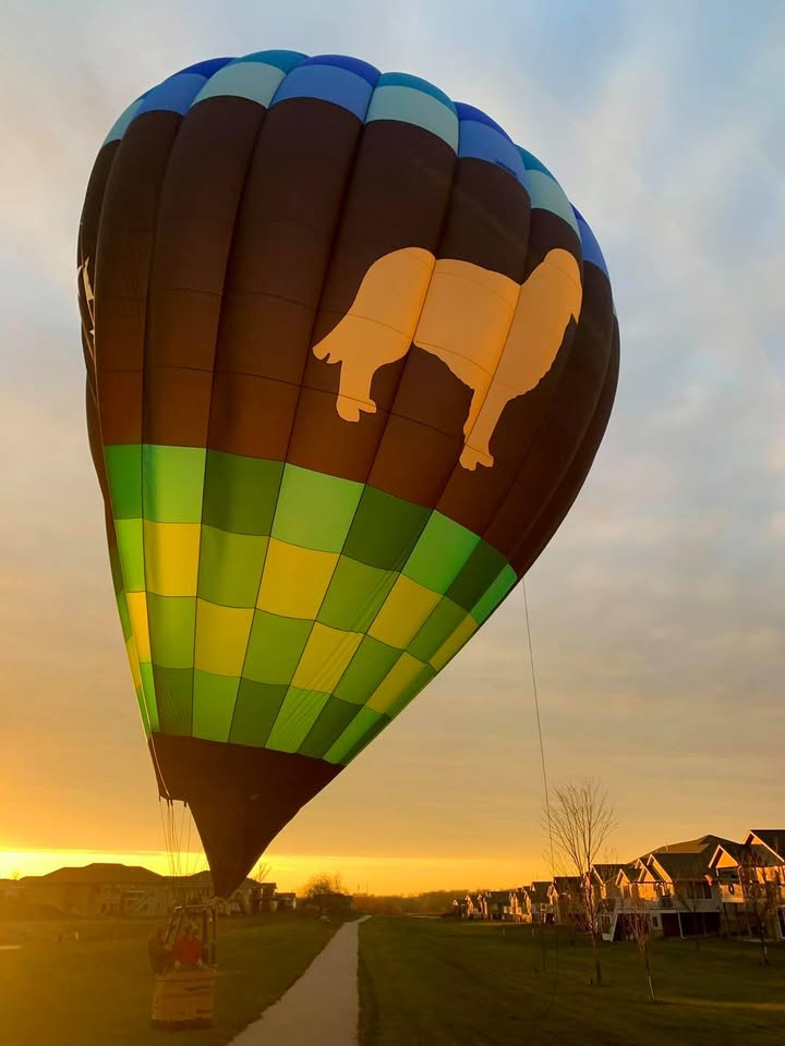 Another November flight.
