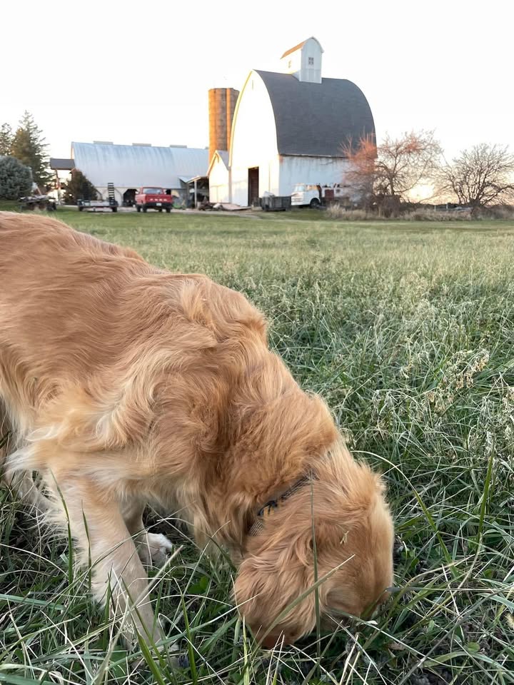 Reid closed out November 2021 with a solo flight.
