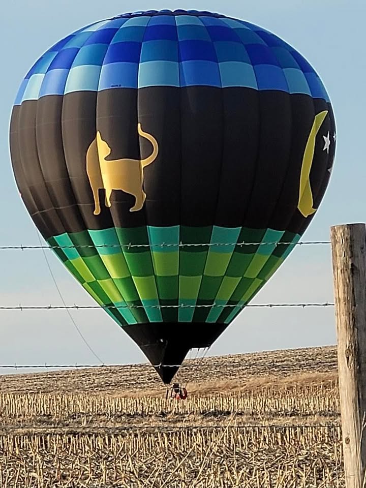 We flew last night.