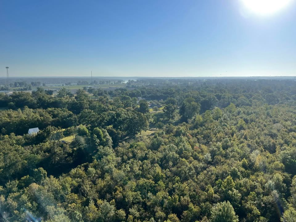 Natchez Balloon Festival