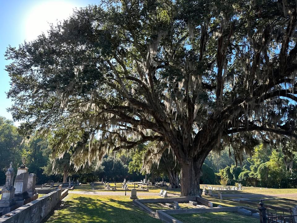 Recap of Natchez, MS!
