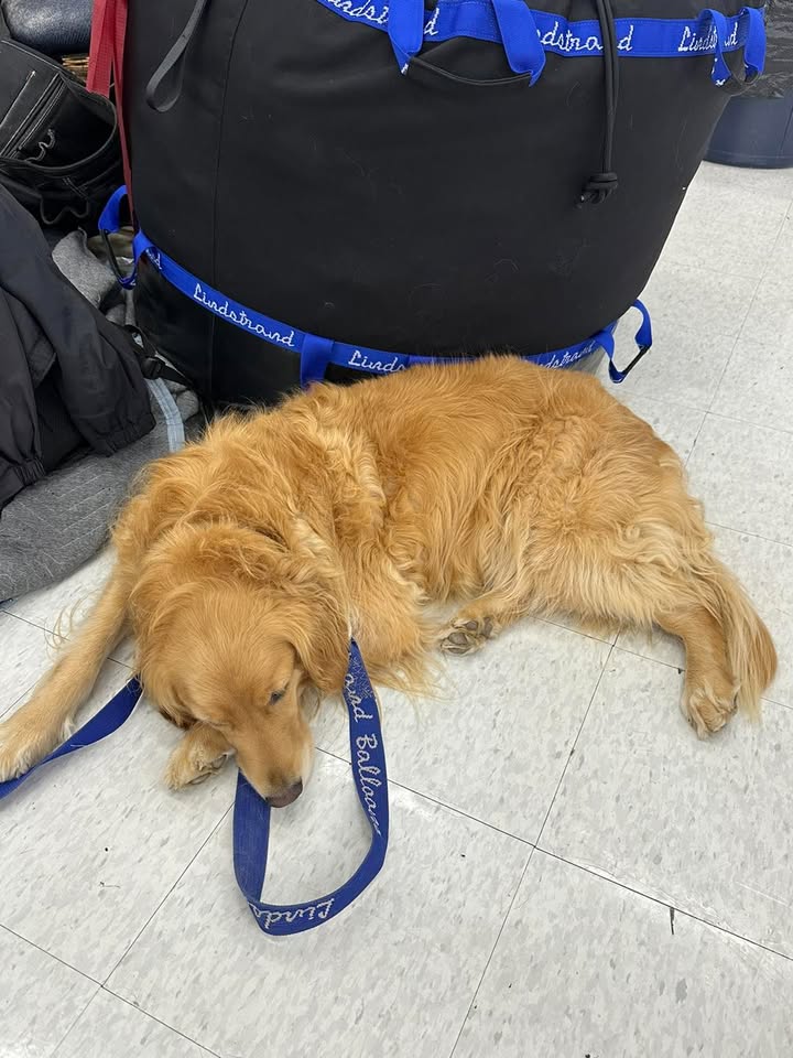 Maggie had an exhausting day an annuals.