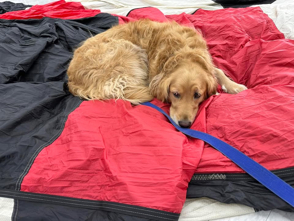 Maggie had an exhausting day an annuals.