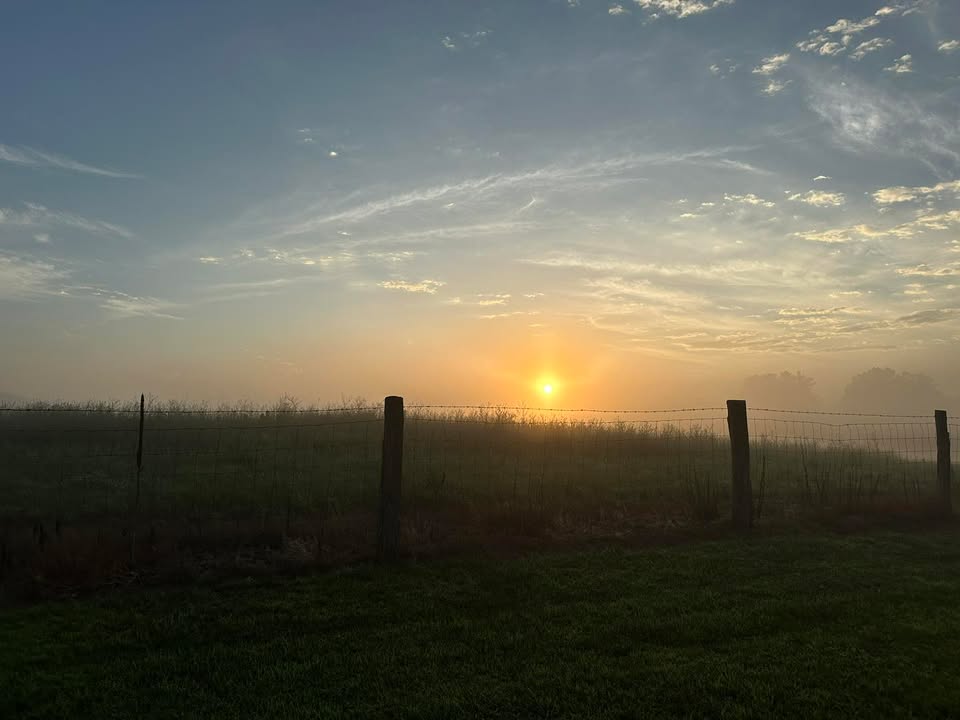 This morning’s flight.