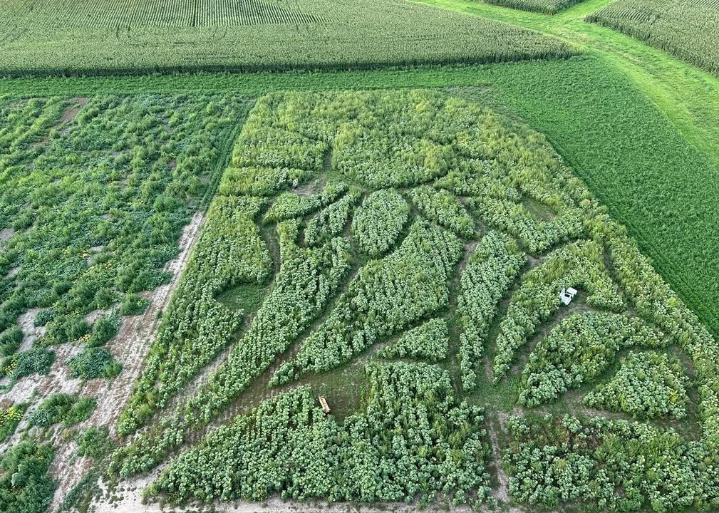 Flew from Bass Farms last night over Iowa crops.